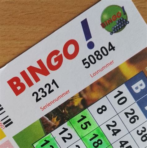 bingo lotto los kaufen